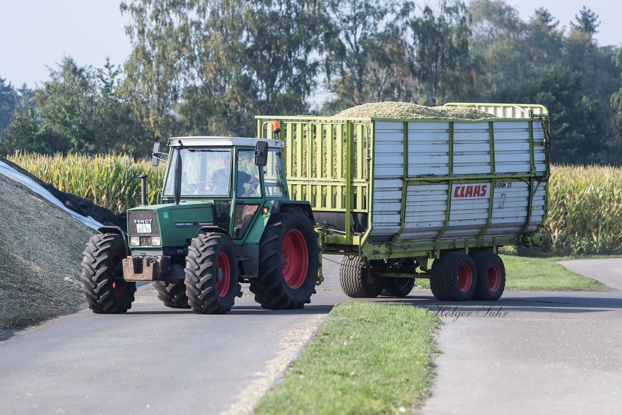 Bild 173 - Maisernte